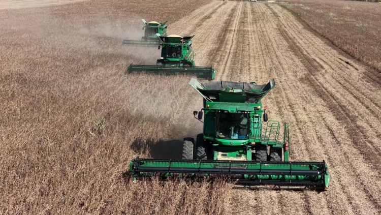 呼伦贝尔：沃野流金五谷丰_fororder_学习_4