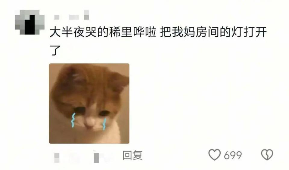 “看哭了” 网友：此刻 想回家的心情达到了顶峰