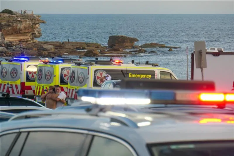 澳总理召开国家安全委员会紧急会议 应对邦迪滩枪击案