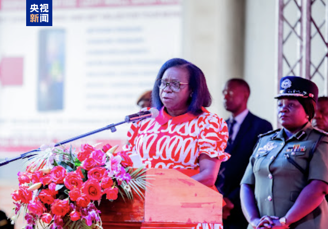 赞比亚中国春节庙会在赞首都举行 总台春晚宣传片惊艳亮相送年味