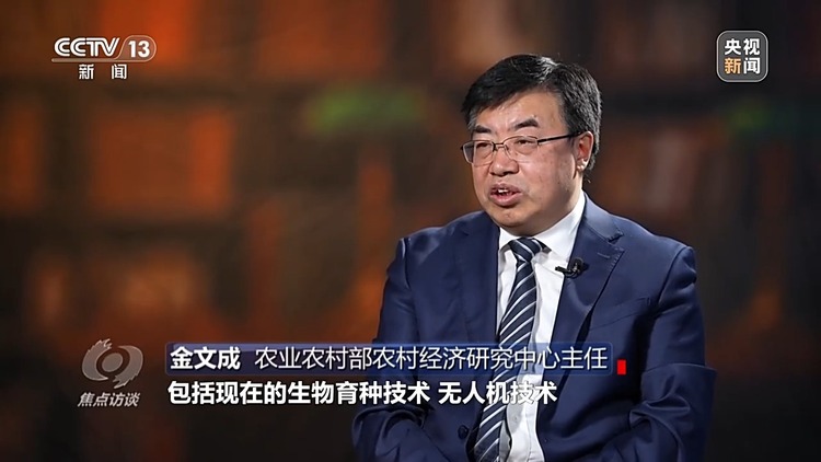焦点访谈丨如何扎实推进乡村全面振兴?深化改革是关键