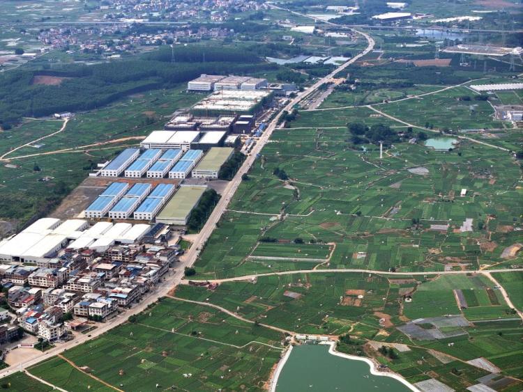 宝藏之城丨这座小城的茉莉花香飘世界