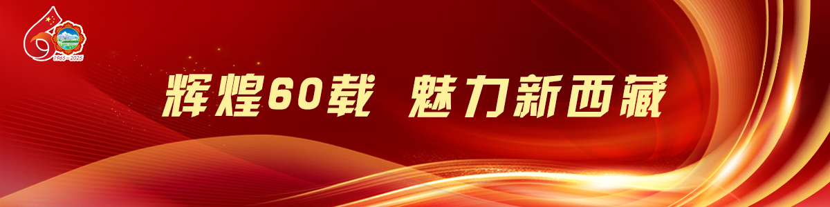 辉煌60载 魅力新西藏_fororder_西藏(3)