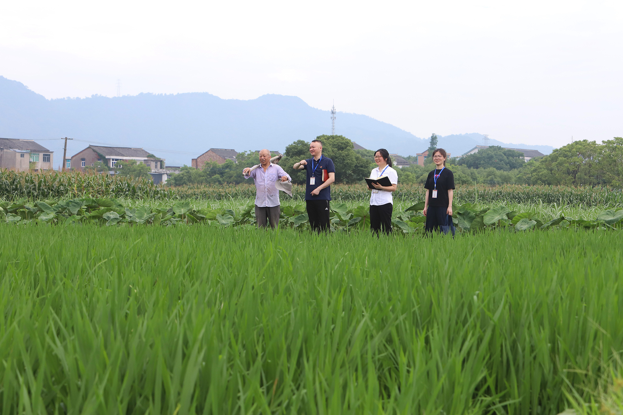 【央广时评】厉行节约新规彰显执政为民本色