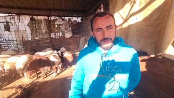 听鉴世界 | 犹太人定居者频繁滋扰迫使约旦河西岸巴勒斯坦人逃离家园