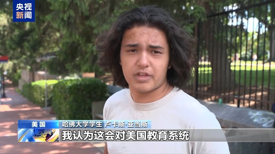 “极其错误的决定”哈佛大学学生怒批美政府禁招令