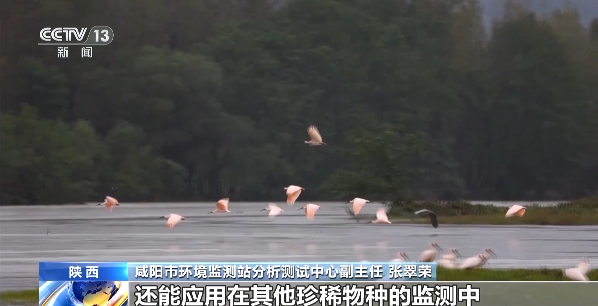 捕风捉“鹮” 环境DNA技术捕捉空气里的“指纹”
