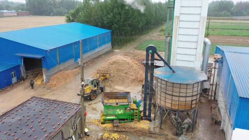 新华视点丨连阴雨袭扰秋收季 全国多地抢收保秋粮