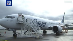 美国阿拉斯加航空因信息技术故障临时停飞