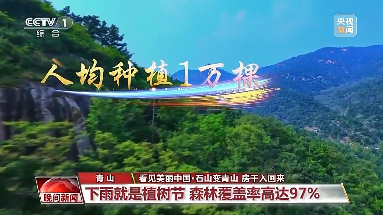 看见美丽中国丨炸水泥厂、种万棵树！“石头村”20年逆袭97%森林覆盖