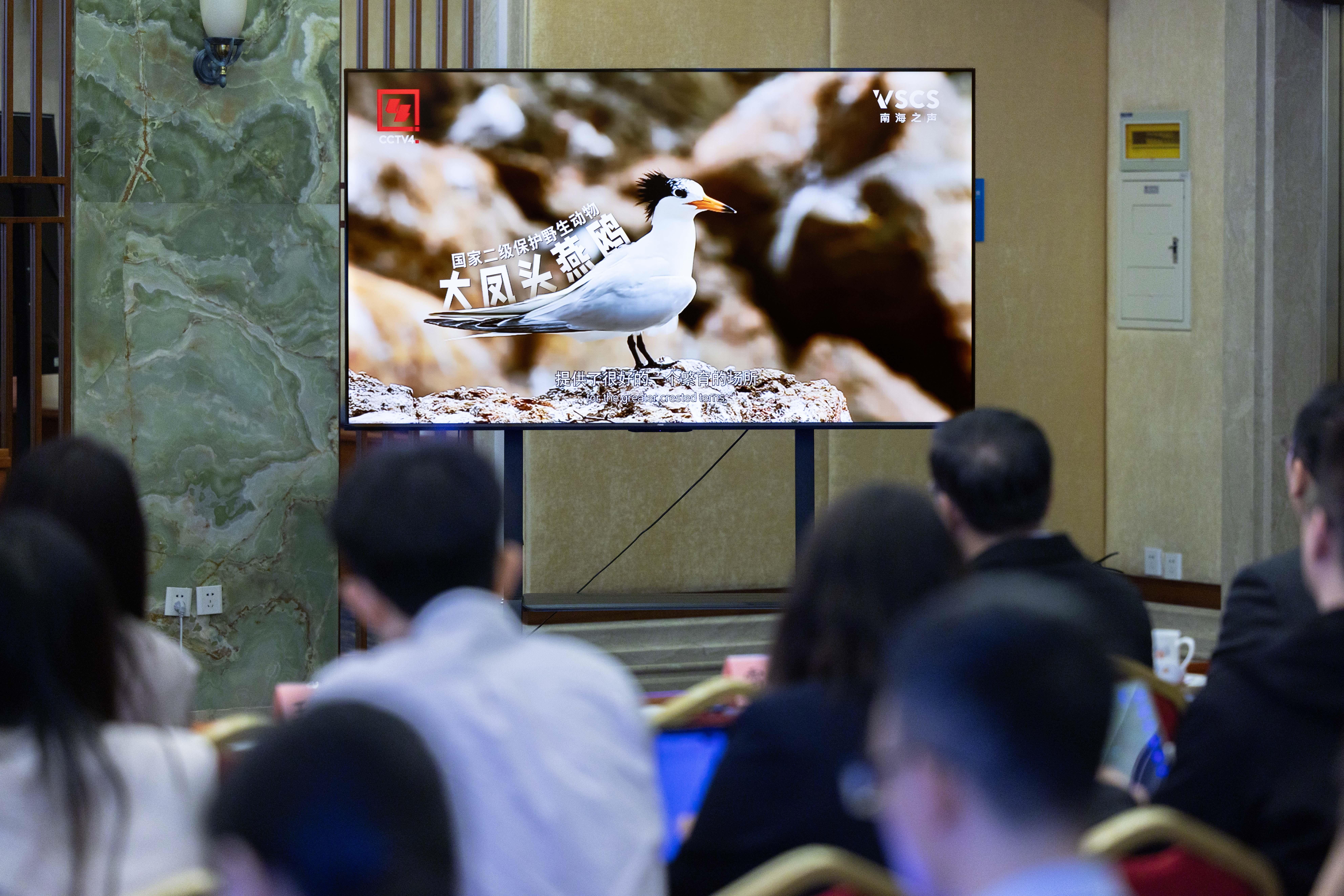 总台南海之声推出南沙岛礁生态调查纪实片《归巢》 科学实证击碎菲方谎言