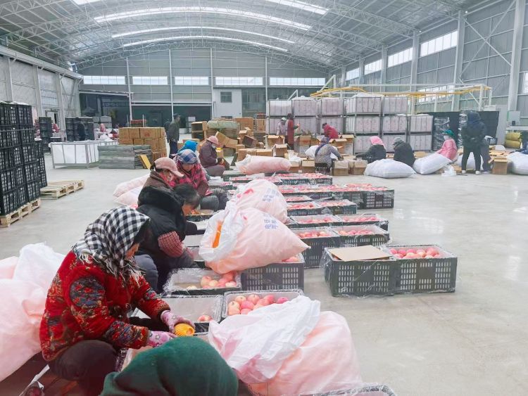 天水秦安魏店镇：强村公司激活产业新动能_fororder_(1)5