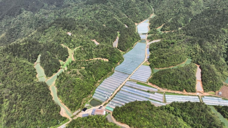 荒坡变 “金坡” “头雁”带头人王镇的蓝图美景_fororder_图片3