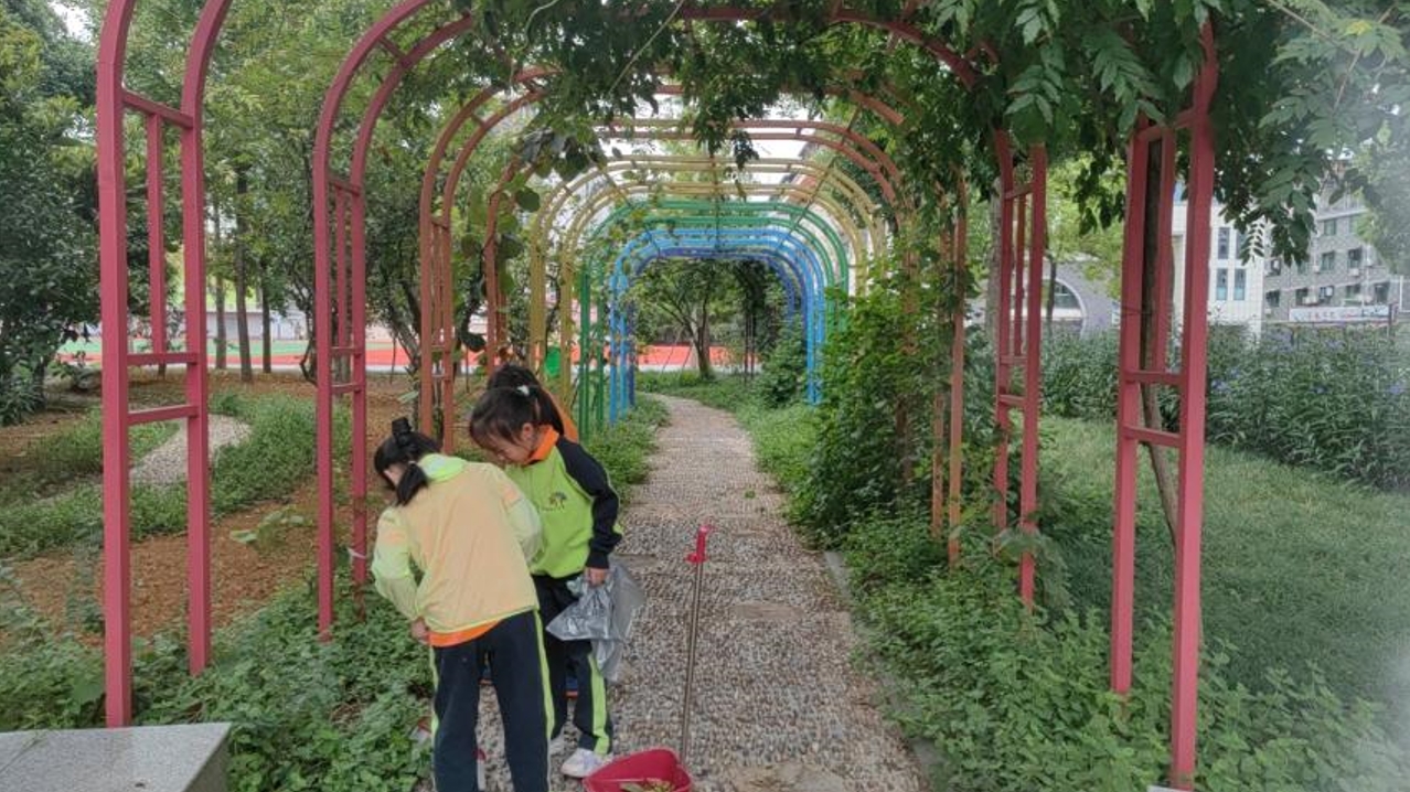 金华市宾虹小学：垃圾分类新风尚，共筑美好地球家园