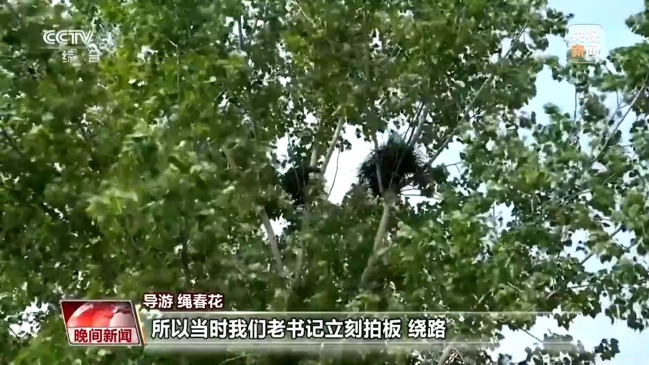 看见美丽中国丨炸水泥厂、种万棵树！“石头村”20年逆袭97%森林覆盖