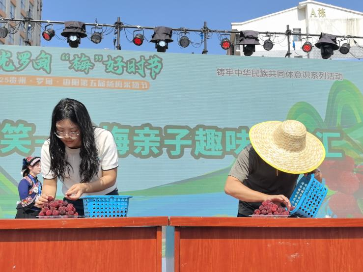 Bianyang Yangmei Festival in Luodian, Guizhou Empowers Integration of Culture and Tourism_fororder_图片18