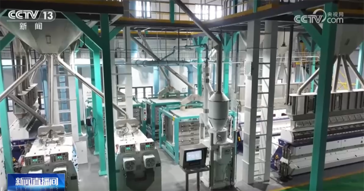 “铁海联运”“黄金水道”按下秋粮运输“加速键” 为全国粮食安全筑牢坚实屏障