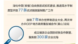 安徽省打造梯次化高能级开放平台矩阵