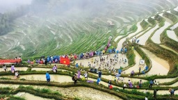 图片默认标题