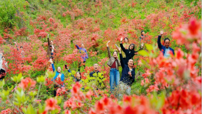 Longhui County, Hunan Unlocks the “Wealth Code” by Protecting Green Mountains and Clear Waters