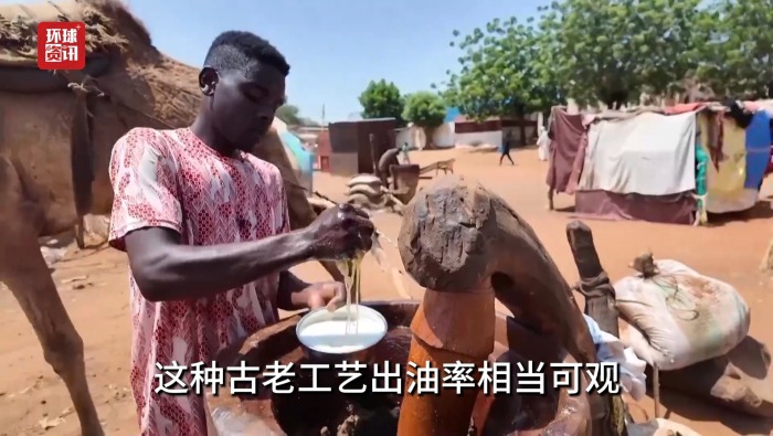 听鉴世界｜骆驼牵引榨油机 苏丹人以古法应对能源困局