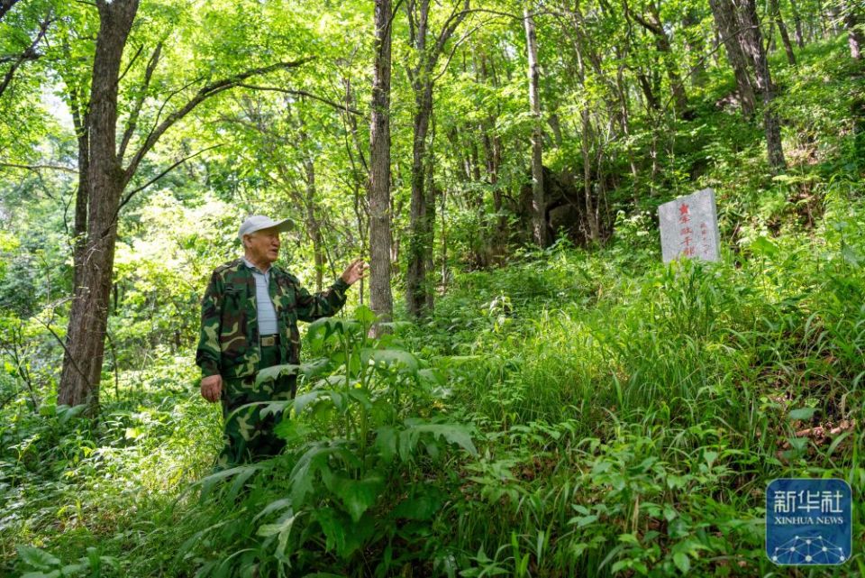 新华全媒＋丨“一座七星山 半部抗联史”——探访七星砬子抗联密营遗址