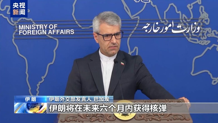 伊朗外交部发言人：某些西方国家滥用国际组织推进其政治目标