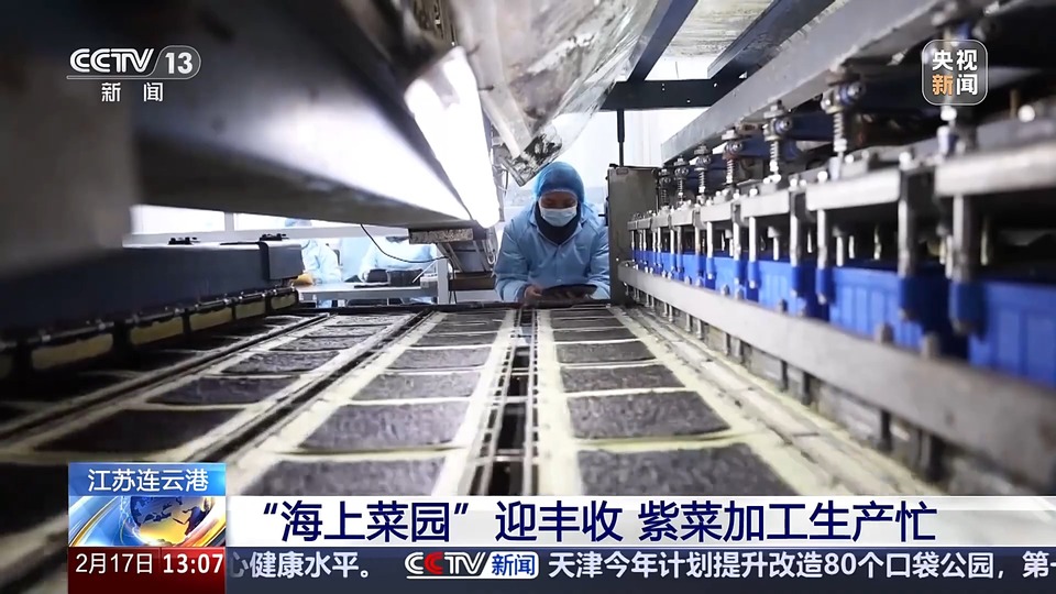 马力十足！春耕备耕忙 无人机“上岗”助力