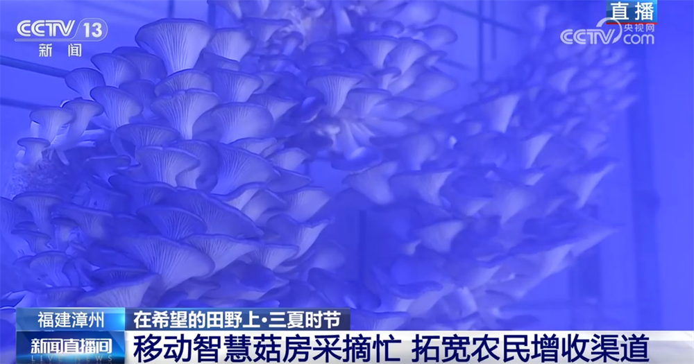 “机械+科技”、稻鸭共养、移动菇房 “智慧”引擎激活乡村振兴新动能