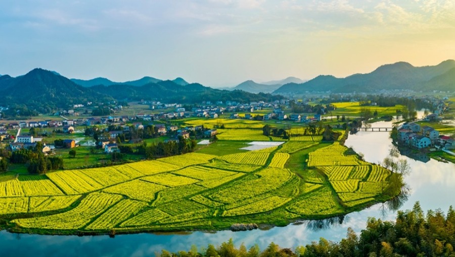 【新思想引领新征程】强化农业科技支撑 农业现代化步伐全面提速