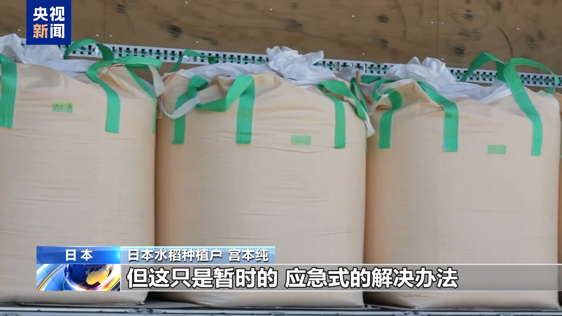 总台记者观察丨日本米农：种植面积锐减、成本上涨 米价难降