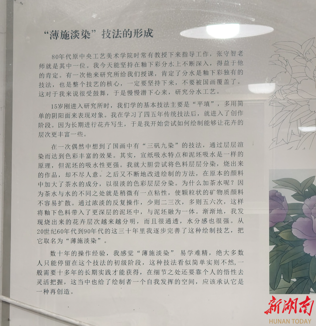 “薄施淡染”为何能走进国家博物馆