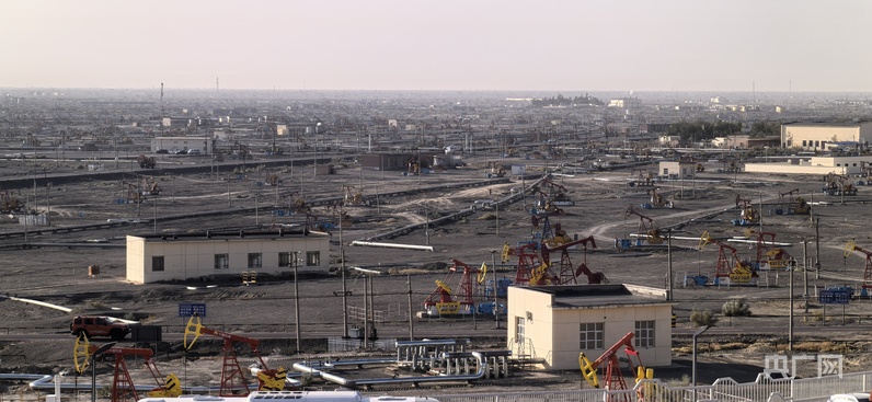 万人说新疆丨五湖四海聚新疆 看蓬勃发展“新”魅力