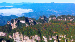秋分时节杨家界秋意正浓，山林渐染引客来