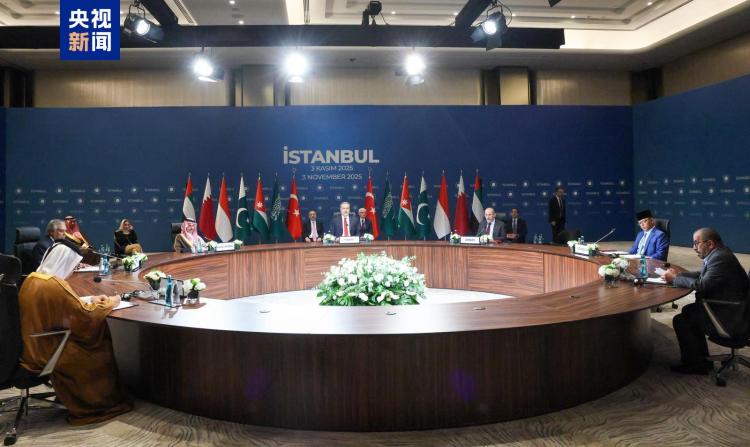 加沙问题部长级会议在伊斯坦布尔举行