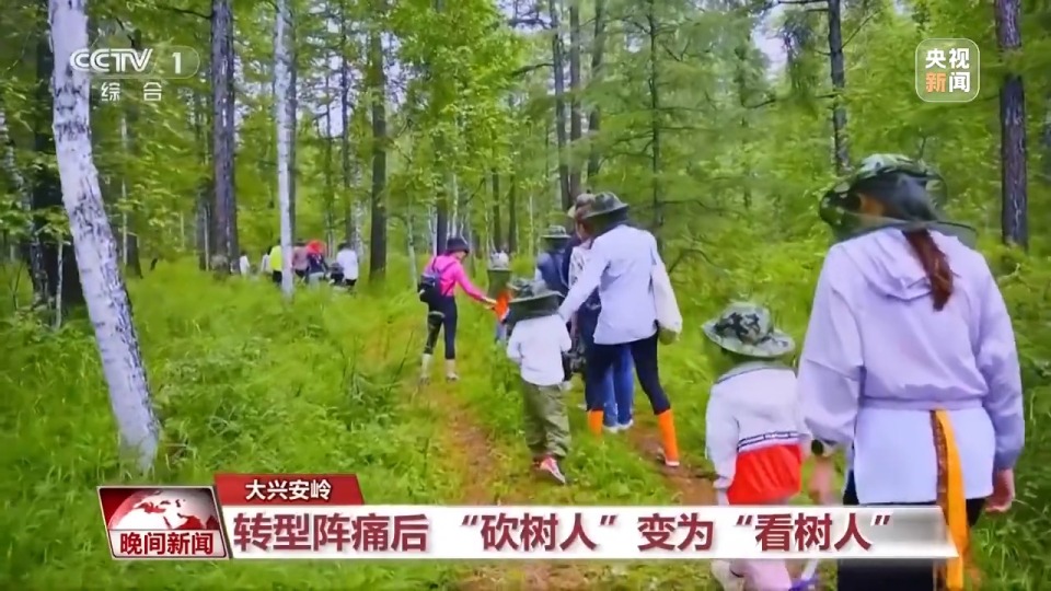 看见美丽中国丨停伐十年 看“绿色宝库”大兴安岭的转型路→