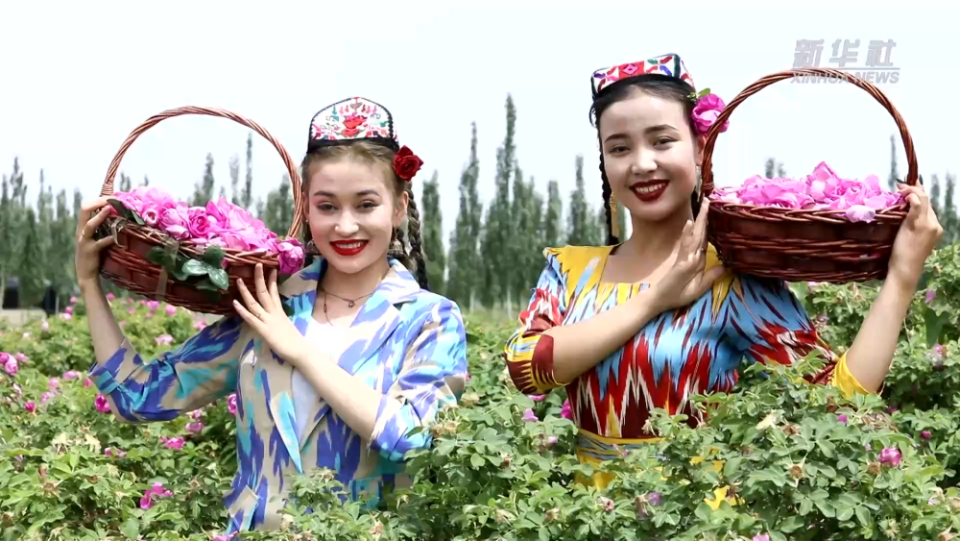 新华全媒+丨新疆于田沙漠玫瑰开出“致富花”