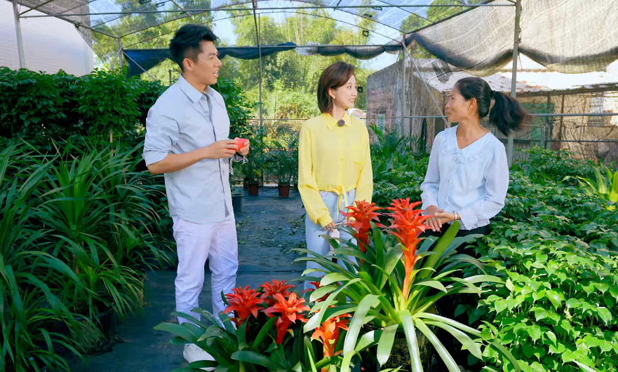 沉浸式感受“百千万工程”新成效，总台大巴探访广东城乡融合高质量发展新局面