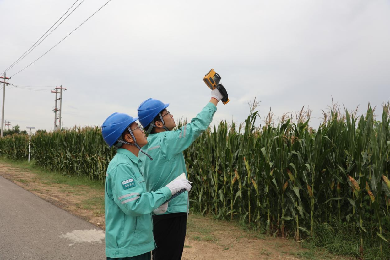 "Village-Grid Co-construction" Guarantees Power Supply for Autumn Harvest and Sowing_fororder_09191