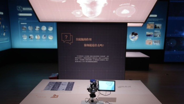 看展|凭三秦之窗 观“陕耀中华”