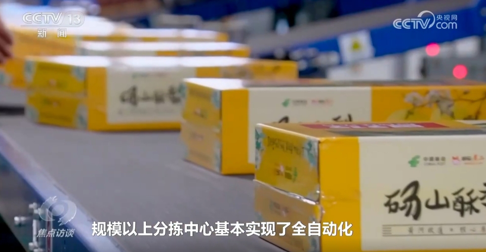 焦点访谈｜快递业“跑”出加速度，“货畅其流”展现中国经济蓬勃活力
