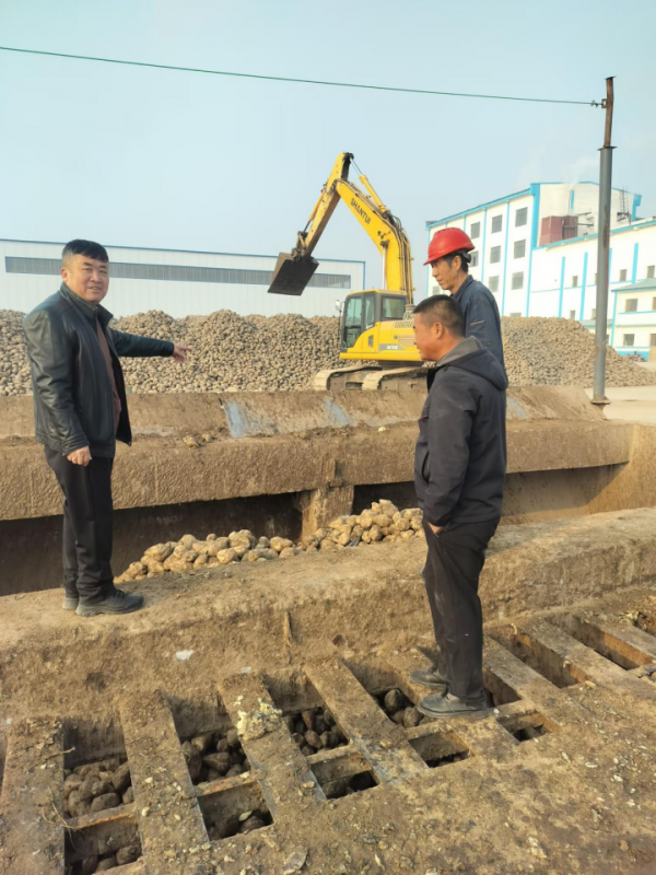 【好评中国·追光青年】“鸿雁”北飞 青春有为