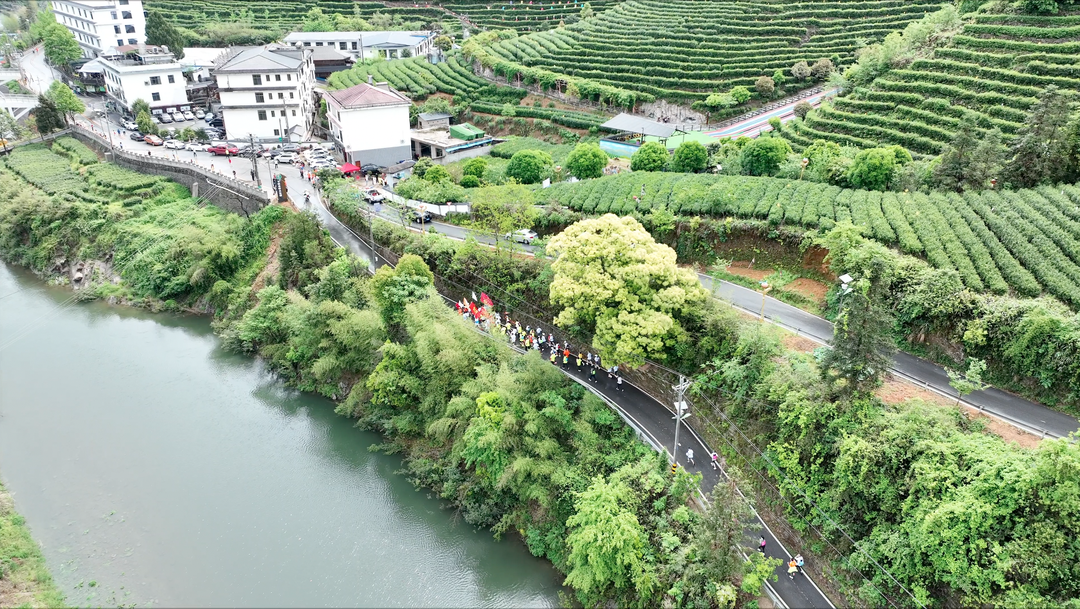 “奔跑吧·邵阳”全民健身跑（洞口站）暨第二届洞口雪峰茶推广季活动启动_fororder_图片3