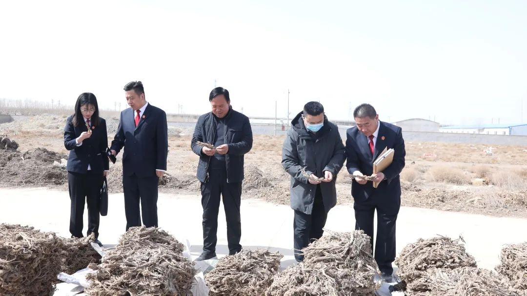 张掖市民乐县人民法院：司法服务“沉下去” 营商环境“优起来”_fororder_图片3