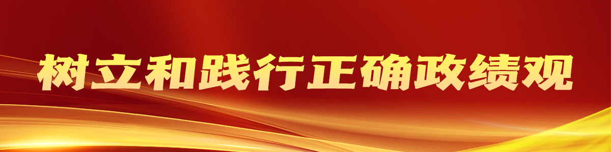 树立和践行正确政绩观_fororder_11