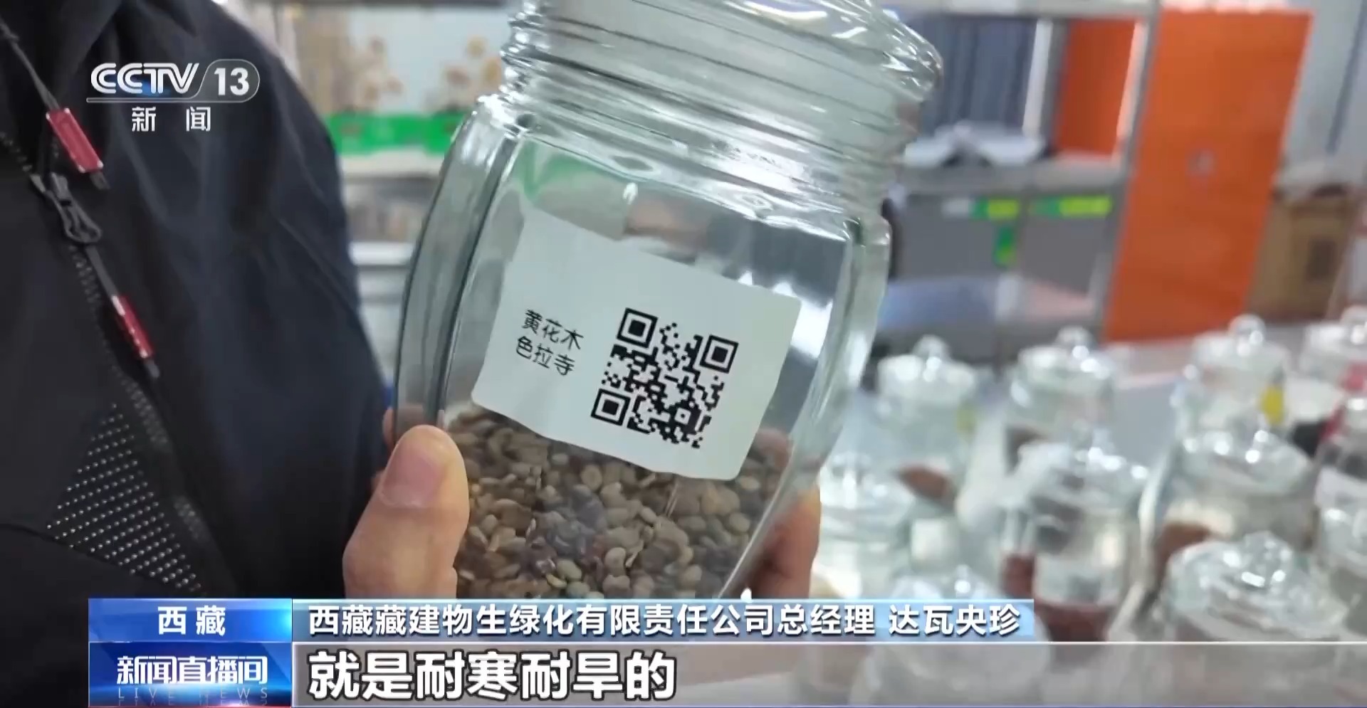 4年栽植苗木1.2亿多株 看拉萨高原如何披“绿装”