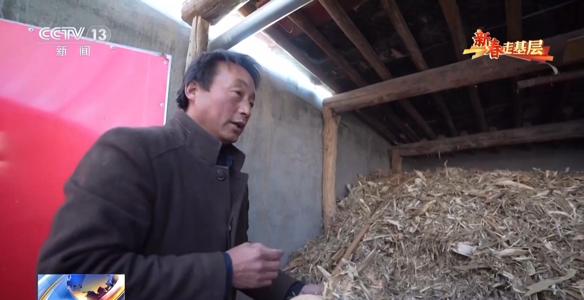 2025新春走基层丨大羊生小羊 卖羊又置羊 来看黑麦家的致富经