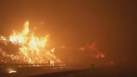 视频丨智利森林火灾已造成19人死亡