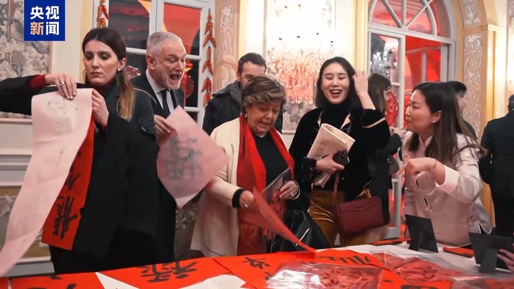 精彩纷呈 热闹非凡 我驻多国使领馆举办新春招待会