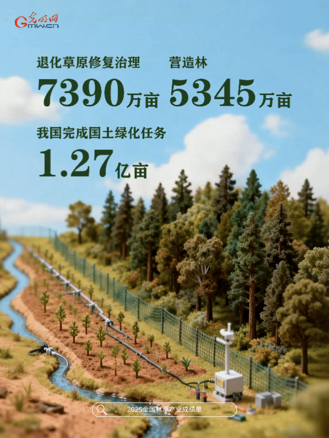 动态海报丨绿满山川，金满坡！数读2025林草成绩单
